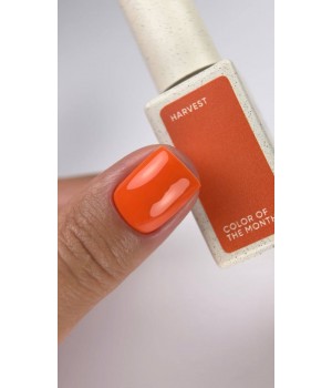 Гель-лак NAILSOFTHEDAY Color of the month September 2026 TPO free